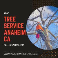 Anaheim Tree Care image 1